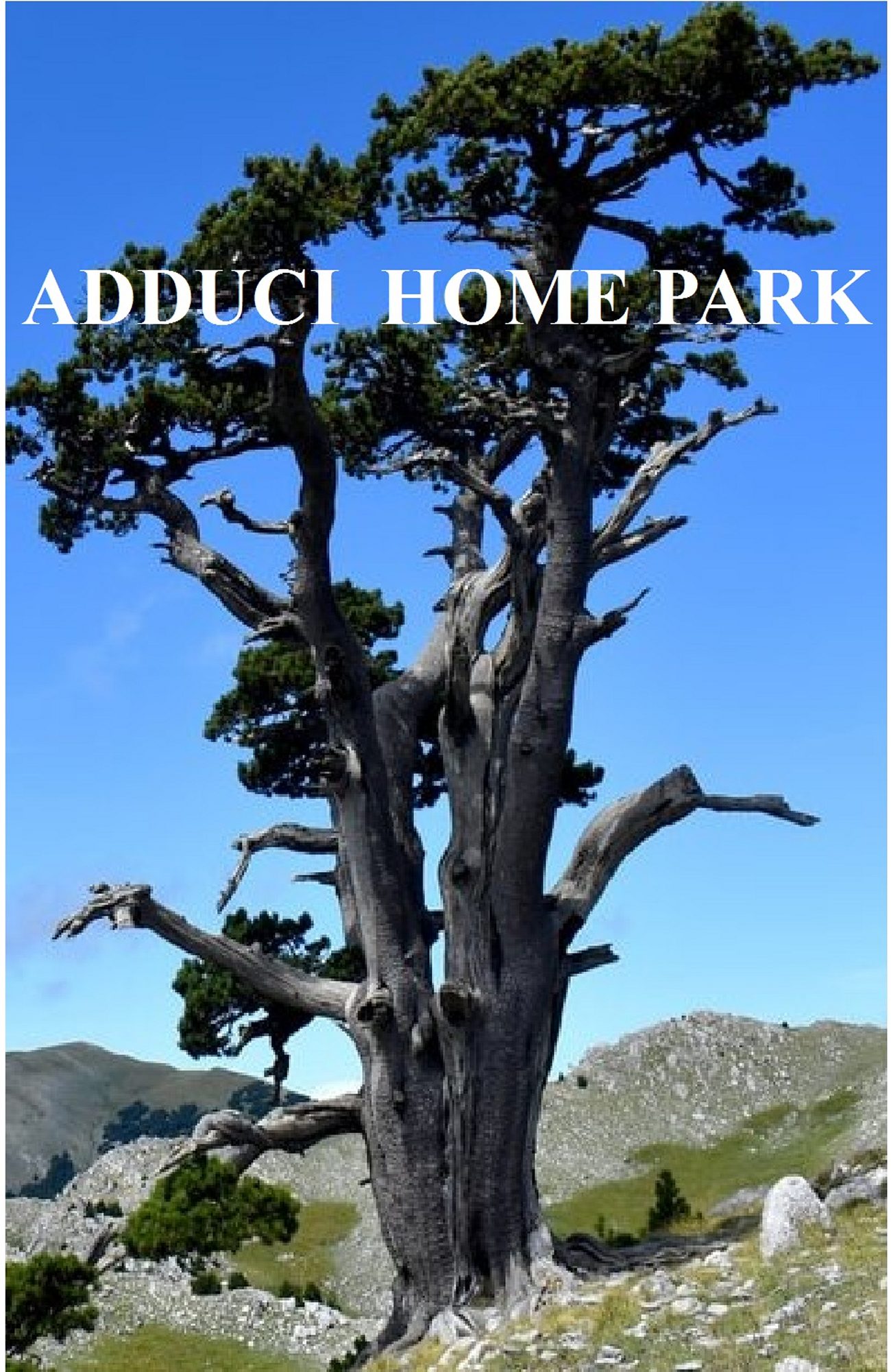 145240407240449_ADDUCI HOME PARK - Copia.jpg